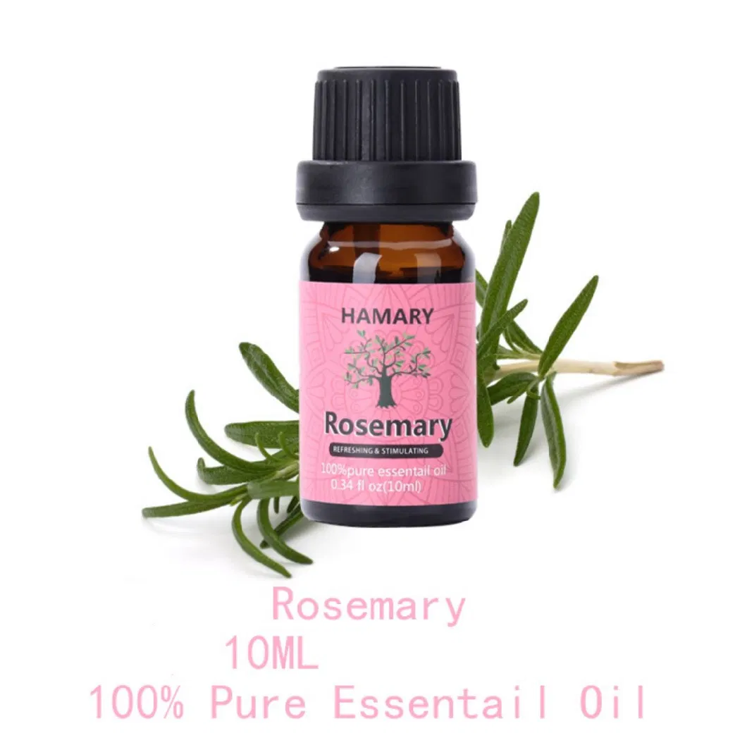 Free Sample Cheap Tea Tree Essential Oil for Face, Hair, Nails Acne, Skin Care