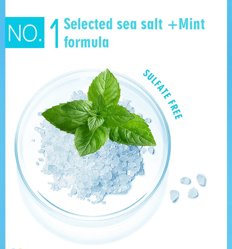 Wholesale Sea Salt Mint OEM Private Label Custom Organic Shampoo and Conditioner Set Hair Care Oil Control Sea Salt Shampoo